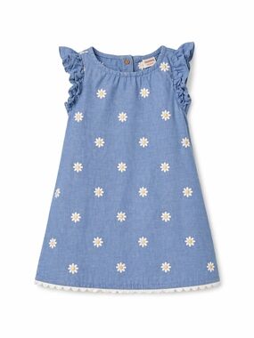 Gymboree Daisy Embroidered Chambray Dress | Blue 18-24M